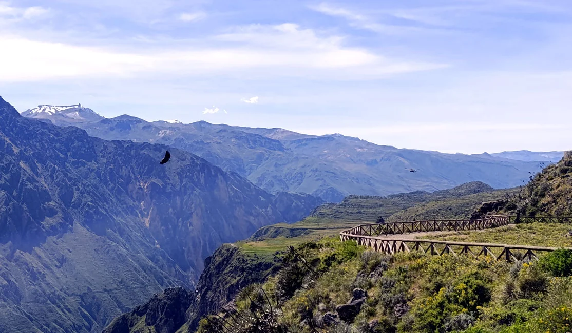 Colca Canyon Arequipa