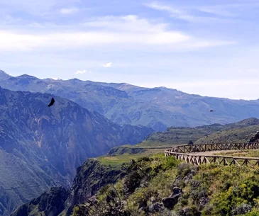 Colca Canyon Arequipa