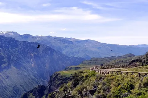 Colca Canyon Arequipa