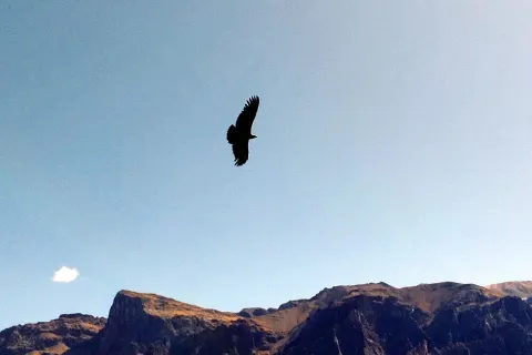 Colca Canyon facts