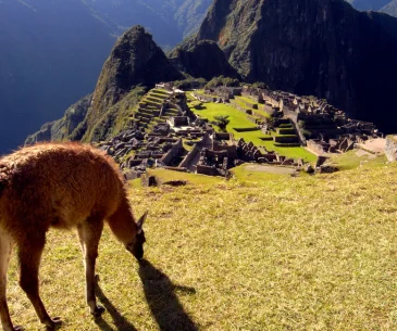 Machu Picchu tickets online