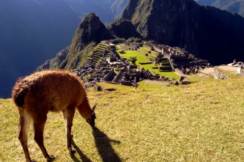 Machu Picchu tickets online