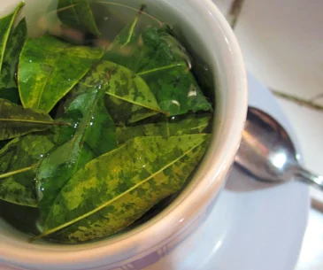 coca tea peru