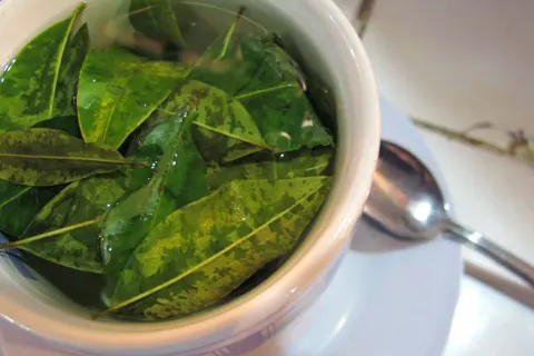 coca tea peru