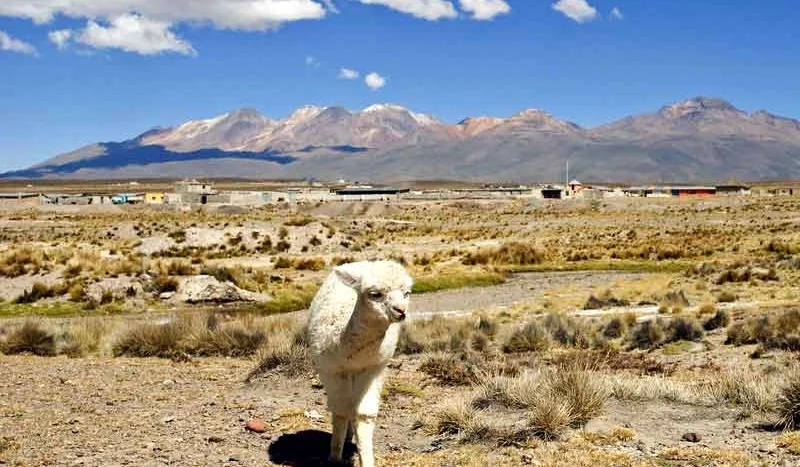 colca canyon peru scenic landscape best time to visit clear weather