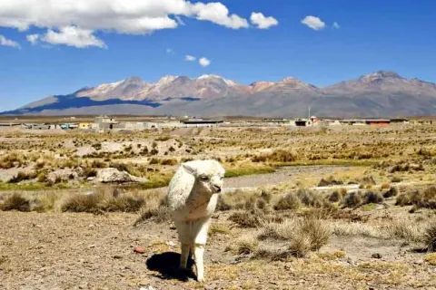 colca canyon peru scenic landscape best time to visit clear weather