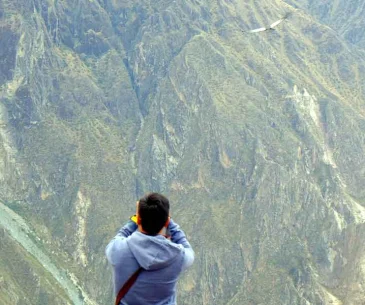 colca canyon tour price comparison peru travel budget experience