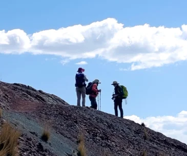 Best Time to Visit Pallay Punchu