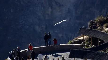 colca canyon tour