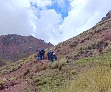 hiking trail leading pallay punchu