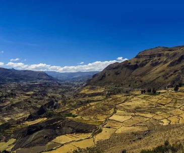 colca canyon 1 day tour budget option quick trip peru