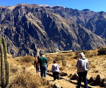 colca canyon 1 day tour condor viewpoint quick trip peru