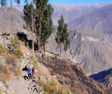 colca canyon tours trekking vs day trip comparison peru