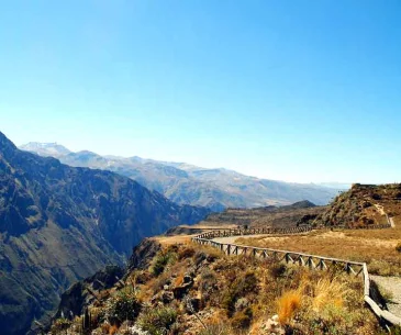 tourists enjoying colca canyon scenic viewpoint peru