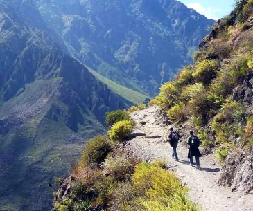 hiking in colca canyon high altitude trekking peru