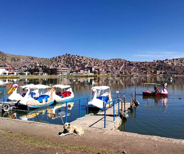 lake titicaca shoreline puno peru