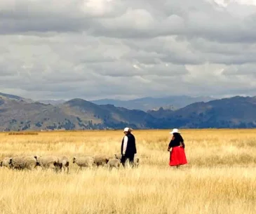 luquina lake titicaca homestay authentic rural experience peru