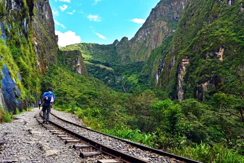 machu picchu by car