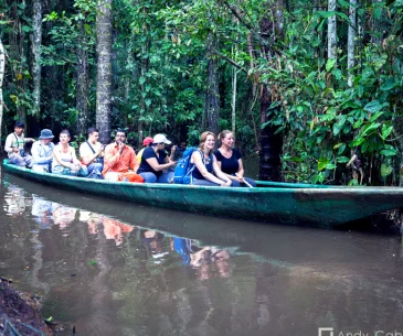 tambopata tour