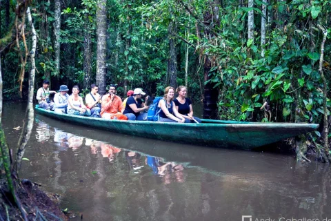 tambopata tour