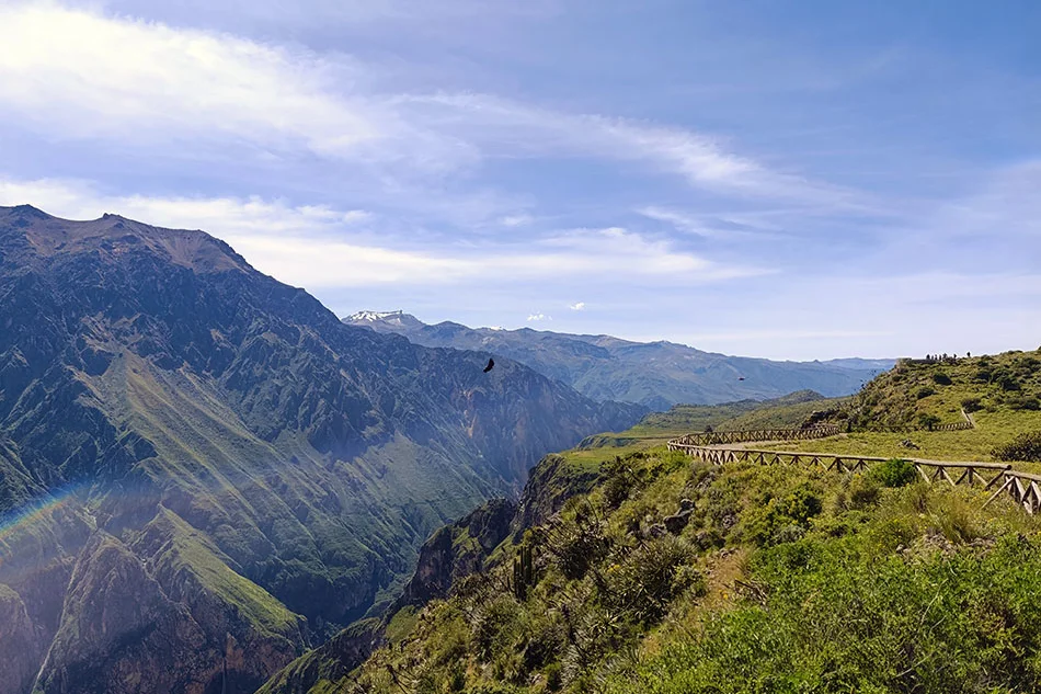 Colca canyon tour from Arequipa to Arequipa