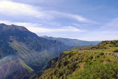 Colca canyon tour from Arequipa to Arequipa