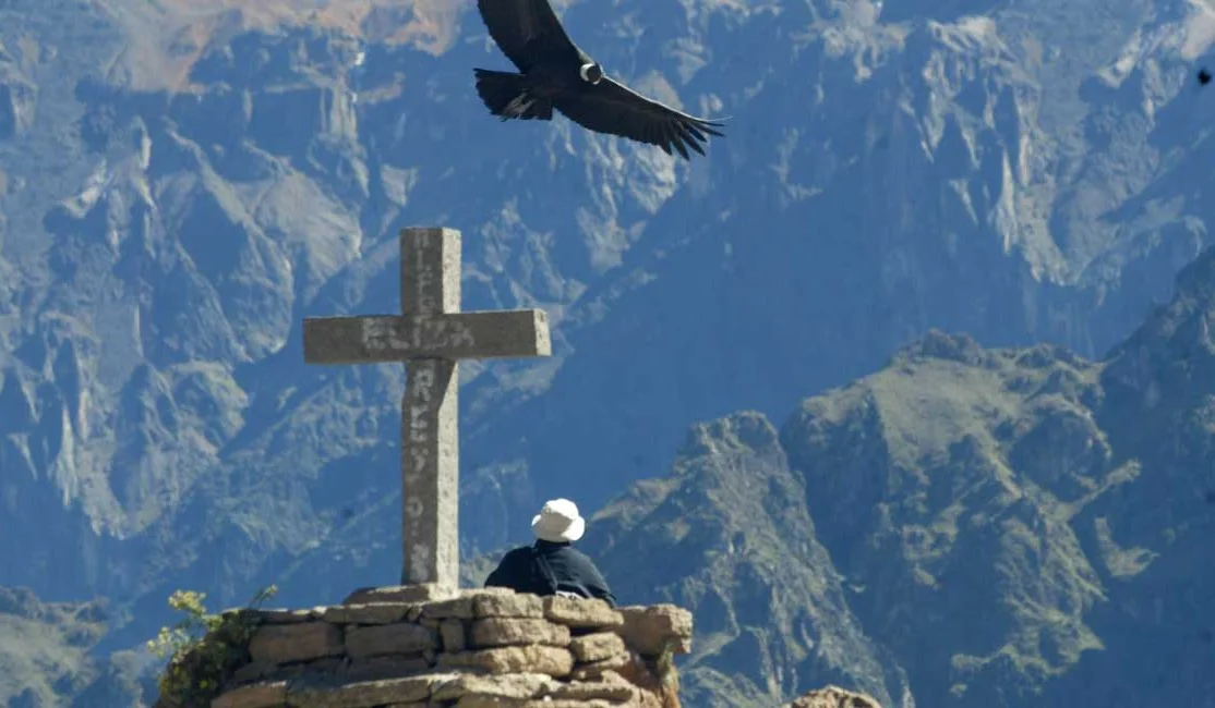 colca canyon tour from puno