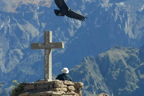 colca canyon tour from puno
