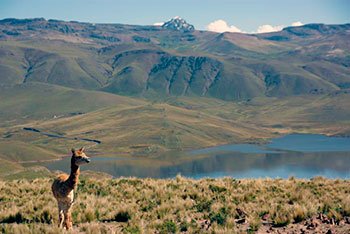 best colca canyon tour from puno