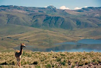 best colca canyon tour from puno