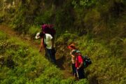 inca jungle to machu picchu